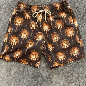 Fair Harbor Bayberry Swim Trunks 7”